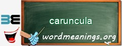 WordMeaning blackboard for caruncula